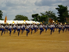 07