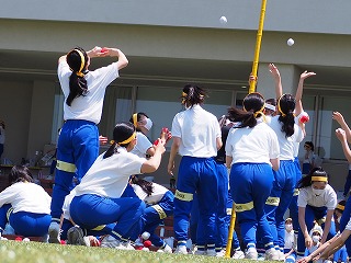 女子中学体育大会 体育祭2020 | 桐朋女子中学校・高等学校サイト