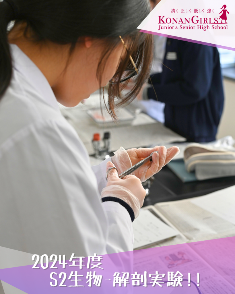 2024年度S2生物-解剖実験