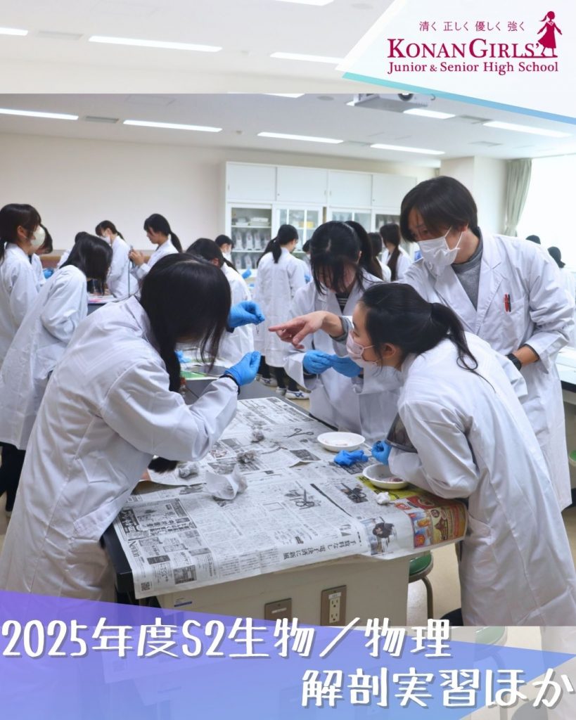 2025年度S2生物／物理 – 解剖実習ほか