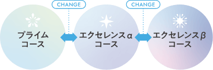 変更可能な段階的3コース制