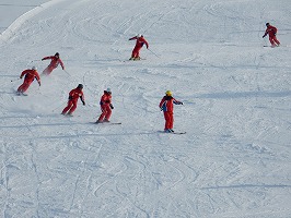 DSCN4306