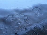IMG_0776